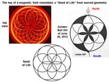 magneticfieldtorus