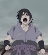 images (8)