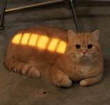 1000012233