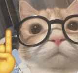 glassescat