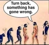 meme-turn-back-something-has-gone-wrong