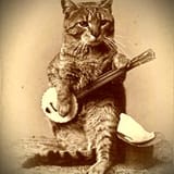 output banjo