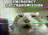 output (transmission)