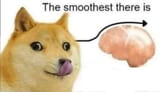 Doge Smooth Brian