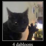 whats-your-favorite-black-cat-meme-this-is-definitely-top-v0-utm1v7k3epid1