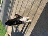 IMG_0059