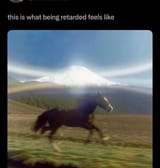 1732182009243847