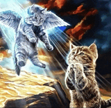 cat (1)