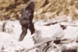 bigfoot f u