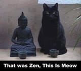 1000012234