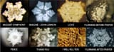 water memory