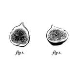 Fig.