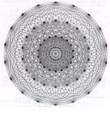 A-two-dimensional-projection-of-the-E8-Lie-geometry-contains-a-total-of-240-vertices