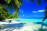paradise