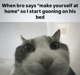 go on