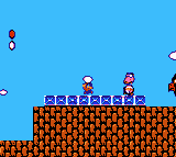 birdo