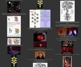 Twin Peaks Esoterica Part 2