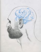 Blue Rose