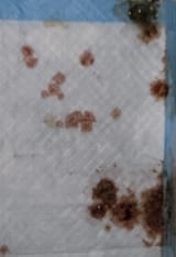 1741012317900