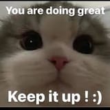 output (keep it ip)