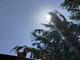 IMG_20250802_144854802