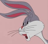 bugs