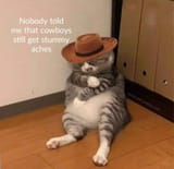 FB_IMG_1730420306967