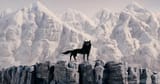 The Black Wolf