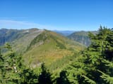Resizer_16629170515311