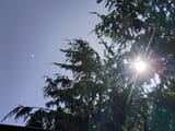 IMG_20250811_160307038