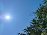 IMG_20250812_121635347