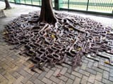 square roots