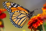 kathy-servian-Td6SfOMkTzE-unsplash