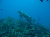 IMG_6811