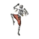 very cool skeleton