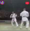 wkf karate_thumb.jpg