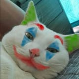 1741286392447660