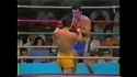 Choho Kameya vs Shisa Takeshiwa_thumb.jpg