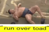 74th Yokozuna