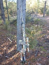 IMG_20221106_130440562