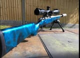 Guns-and-Rifles-1[1]