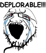 You realise banning people because they criticised your president is absolute turd world banana republic butthurt African nigger sihthole tier behaviour right?