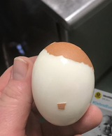 the egg