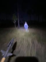 speared