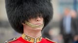 bearskin