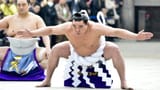 _99004768_sumostance
