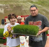 touch grass0
