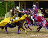 texas-renaissance-festival-jousting-1024x823