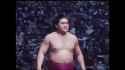 Masuiyama vs Takamiyama - Haru 1975, Day 1_thumb.jpg