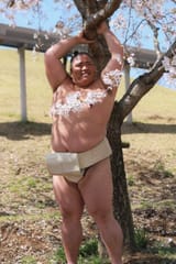 mita
